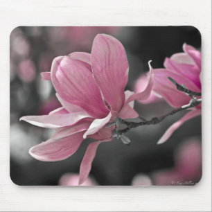 Mousepad Magnólia-Japonesa Saucer Rosa