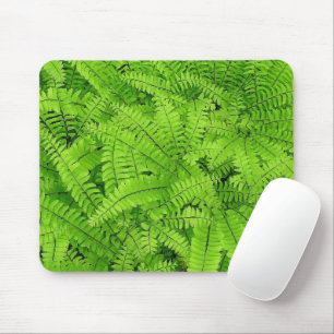 MOUSEPAD MAIDENHAIR FERN/CAMADAS DE FOLHAS DE FERN/OLHOS RO