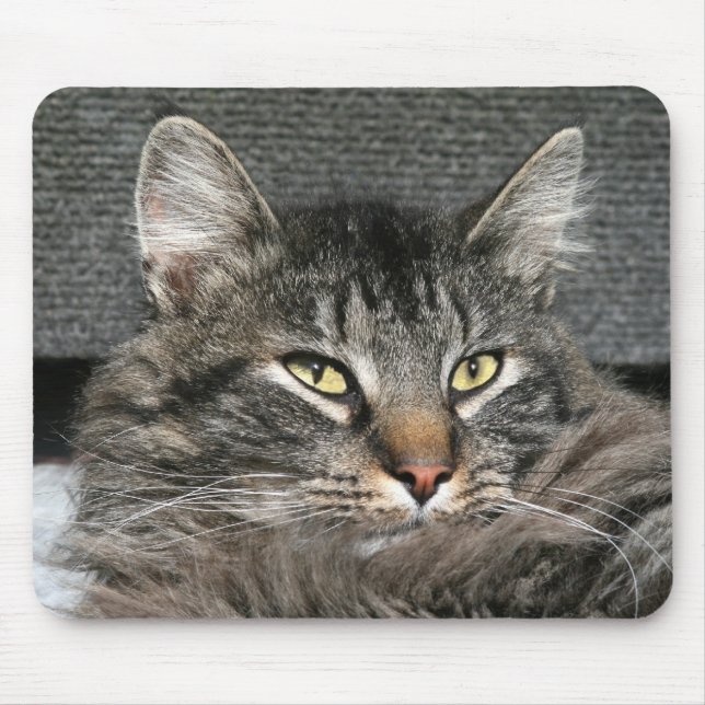 Mousepad Maine Coon (Frente)