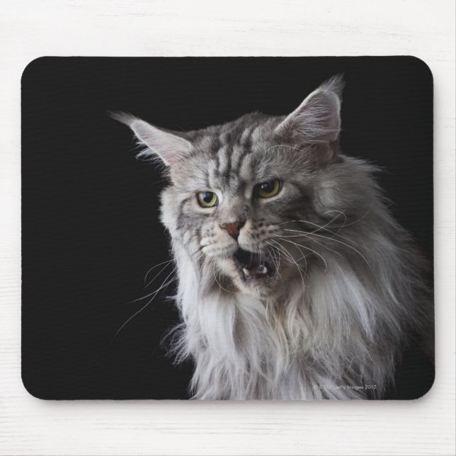 Mousepad Maine Coon cat 2 (Frente)