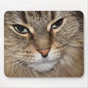 Mousepad Maine Coon Cat Macro