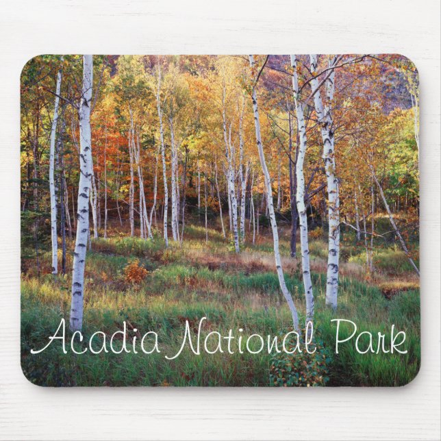 Mousepad Maine, Parque Nacional Acadia, Outono (Frente)