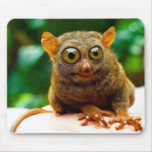 Mousepad mais tarsier