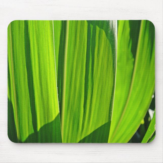 Mousepad Maisblätter (Frente)