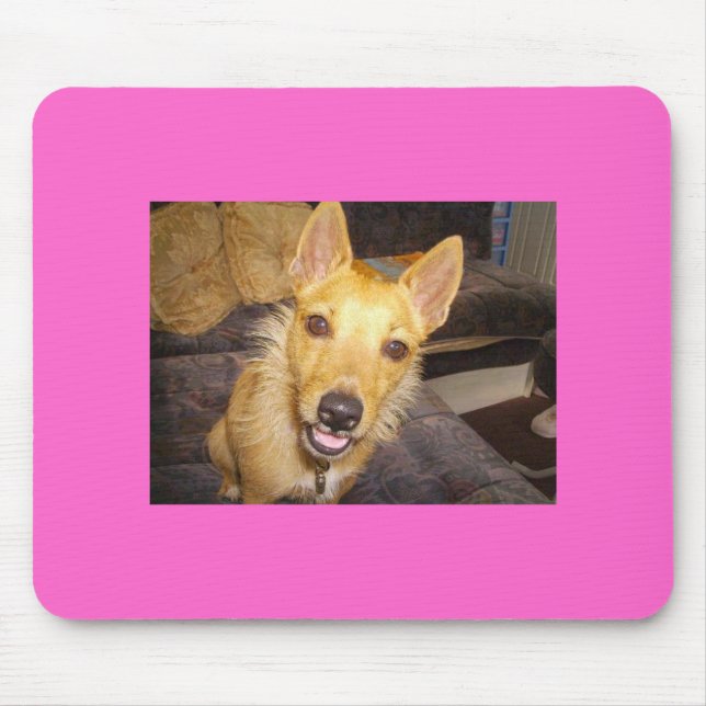 Mousepad "Maisie" o Jack Russell (Frente)
