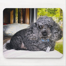 Mousepad Maitai a caniche, almofada de rato