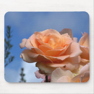 Mousepad Majestade da manhã