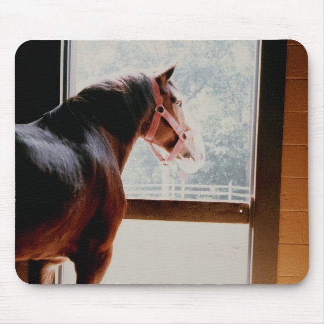 Mousepad Majexpressas Clydesdale (Frente)