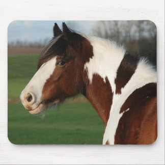 Mousepad Major de Egehojs