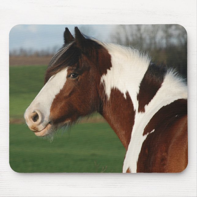 Mousepad Major de Egehojs (Frente)