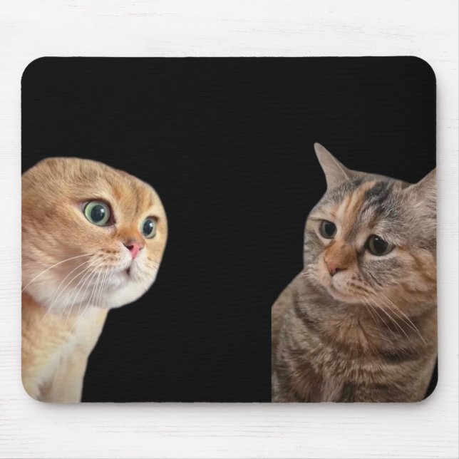 Mousepad Mala de Mouse de Gatos Falantes (Frente)