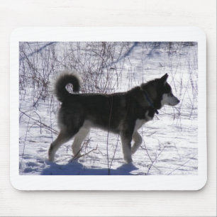 Mousepad Malamute do Alasca
