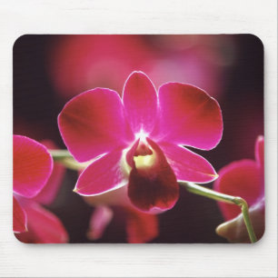 Mousepad Malásia, Orquídea