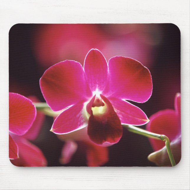 Mousepad Malásia, Orquídea (Frente)