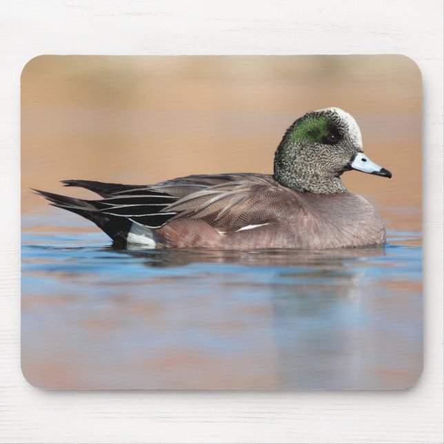 Mousepad Male American Wigeon (Frente)