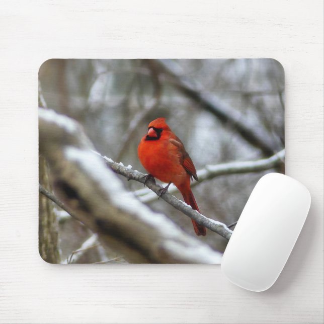 Mousepad Male Cardinal (Com mouse)