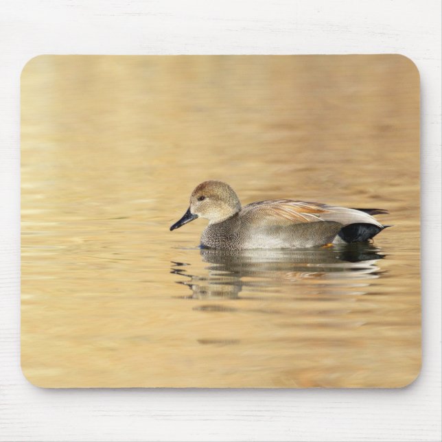 Mousepad Male Gadwall (Frente)