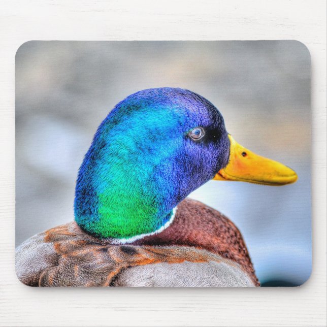 Mousepad Male Mallard Duck Birdlover Wildlife Retrato (Frente)