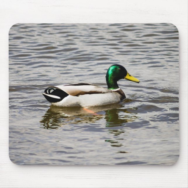 Mousepad Mallard Drake (Frente)