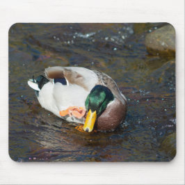 Mousepad Mallard Drake