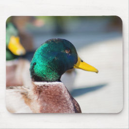 Mousepad Mallard Drake