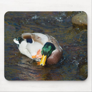 Mousepad Mallard Drake