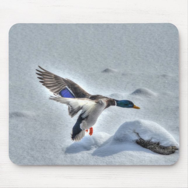 Mousepad Mallard Drake Birdlover Wildlife Foto (Frente)