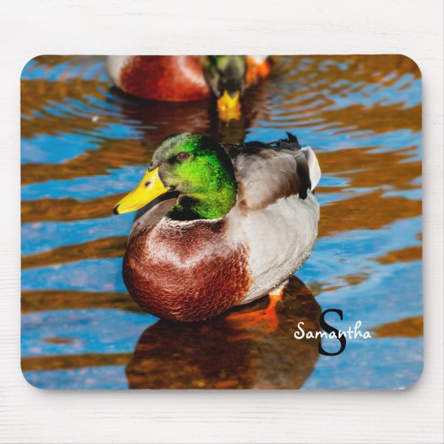 Mousepad Mallard Duck (Frente)