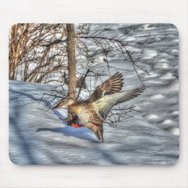 Mousepad Mallard Duck Birdlover Wildlife Foto (Frente)