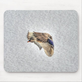 Mousepad Mallard Duck Birdlover Wildlife Foto