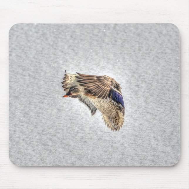 Mousepad Mallard Duck Birdlover Wildlife Foto (Frente)