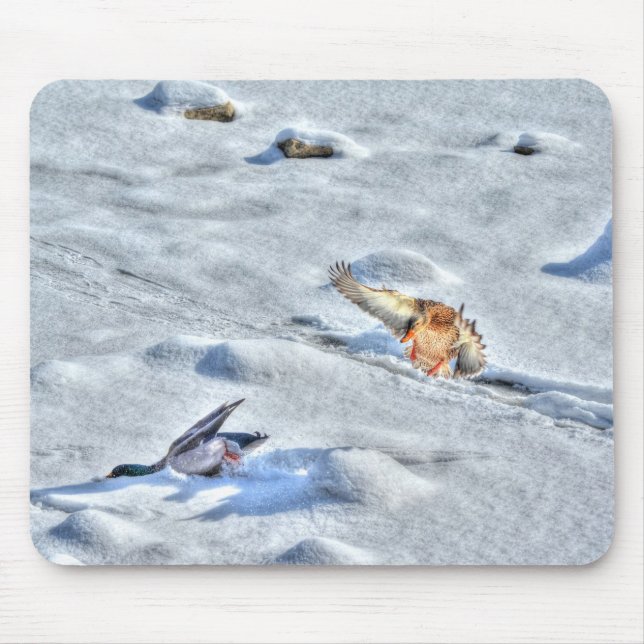 Mousepad Mallard Duck Birdlover Wildlife Foto (Frente)
