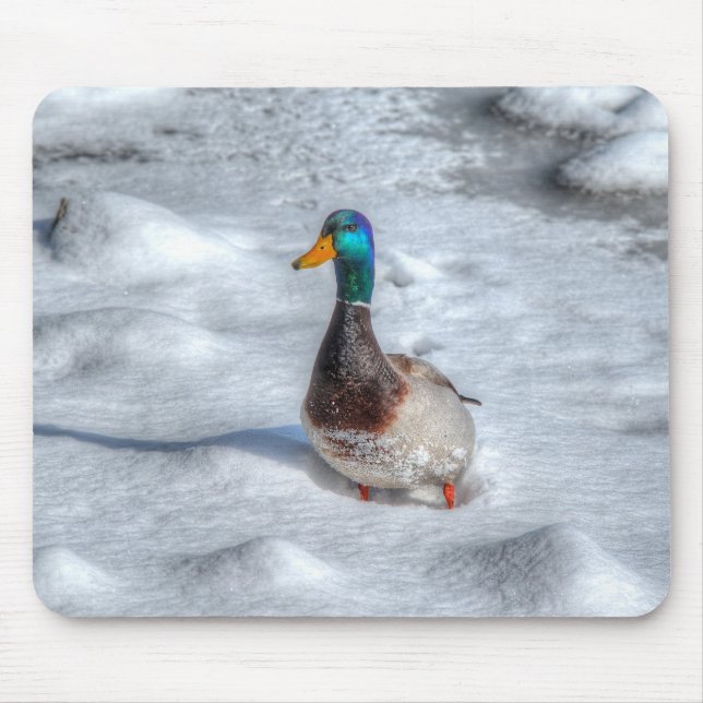 Mousepad Mallard Duck Birdlover Wildlife Foto (Frente)