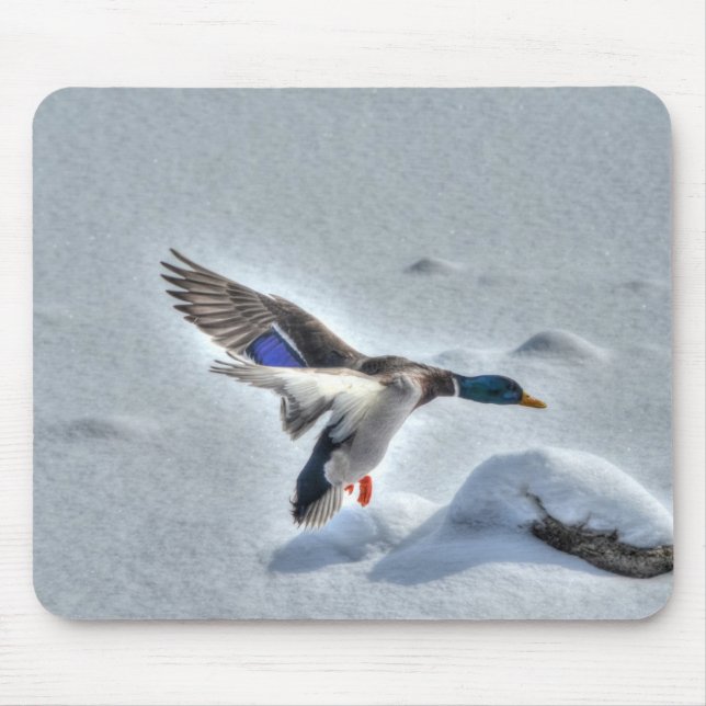 Mousepad Mallard Duck Birdlover Wildlife Foto (Frente)