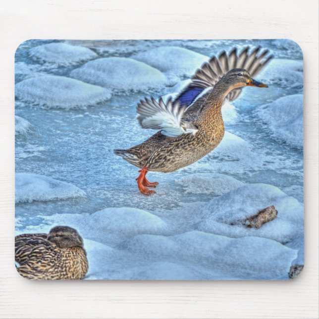 Mousepad Mallard Duck Birdlover Wildlife Foto (Frente)
