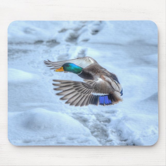 Mousepad Mallard Duck Birdlover Wildlife Foto (Frente)