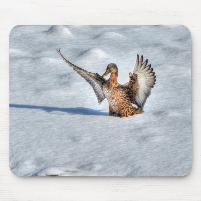 Mousepad Mallard Duck Birdlover Wildlife Foto (Frente)