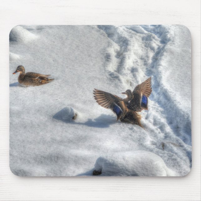 Mousepad Mallard Duck Birdlover Wildlife Foto (Frente)