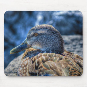 Mousepad Mallard Duck Birdlover Wildlife Retrato