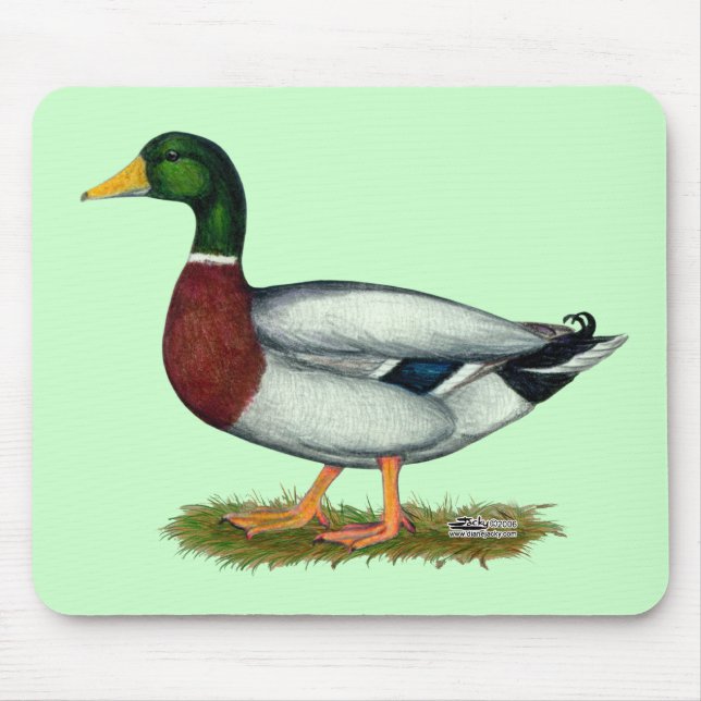 Mousepad Mallard Duck Drake (Frente)
