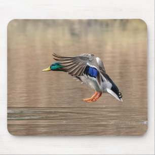 Mousepad Mallard Duck em voo
