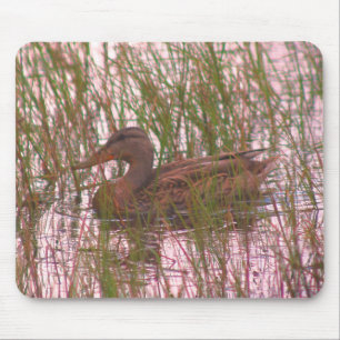 Mousepad Mallard Duck Nature