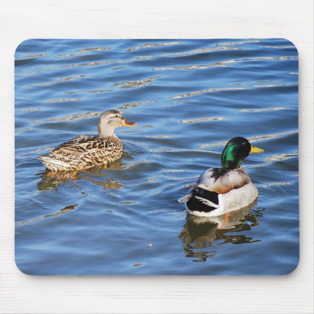 Mousepad Mallard Duck Pairs Simboliza Amor e Compromisso (Frente)