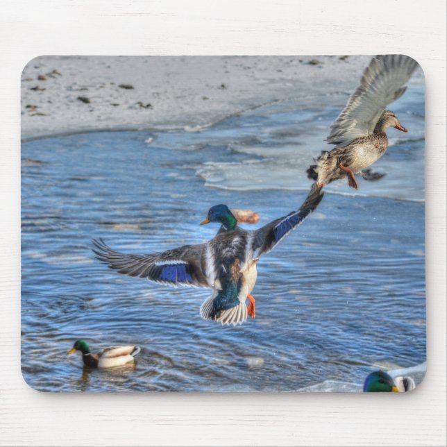Mousepad Mallard Duck Wildlife Foto para amantes de aves (Frente)