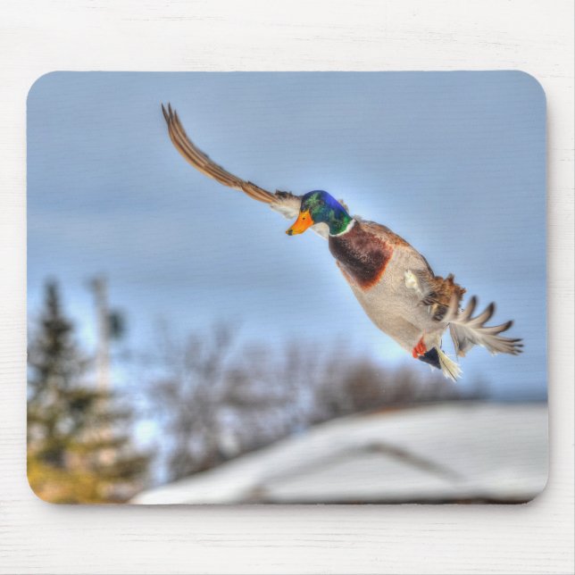 Mousepad Mallard Duck Wildlife Foto para amantes de aves (Frente)