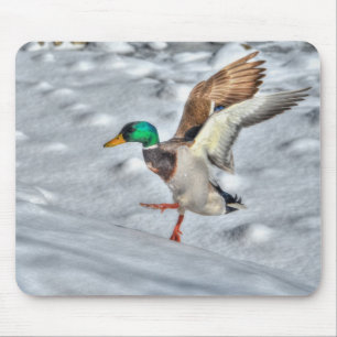 Mousepad Mallard Duck Wildlife Foto para amantes de aves