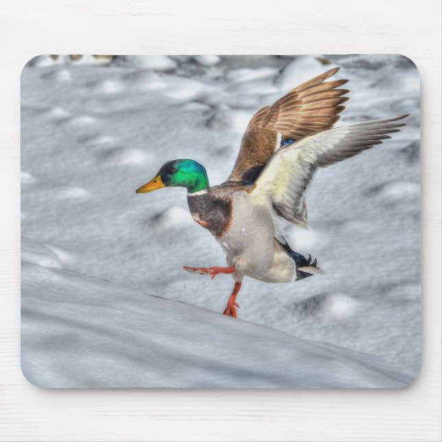 Mousepad Mallard Duck Wildlife Foto para amantes de aves (Frente)
