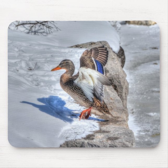 Mousepad Mallard Duck Wildlife Foto para amantes de aves (Frente)