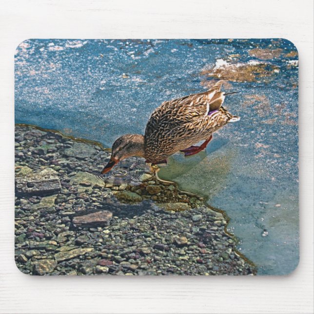 Mousepad Mallard Duck Wildlife Foto para amantes de aves (Frente)