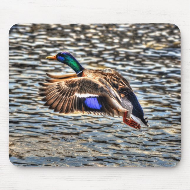 Mousepad Mallard Duck Wildlife Foto para amantes de aves (Frente)